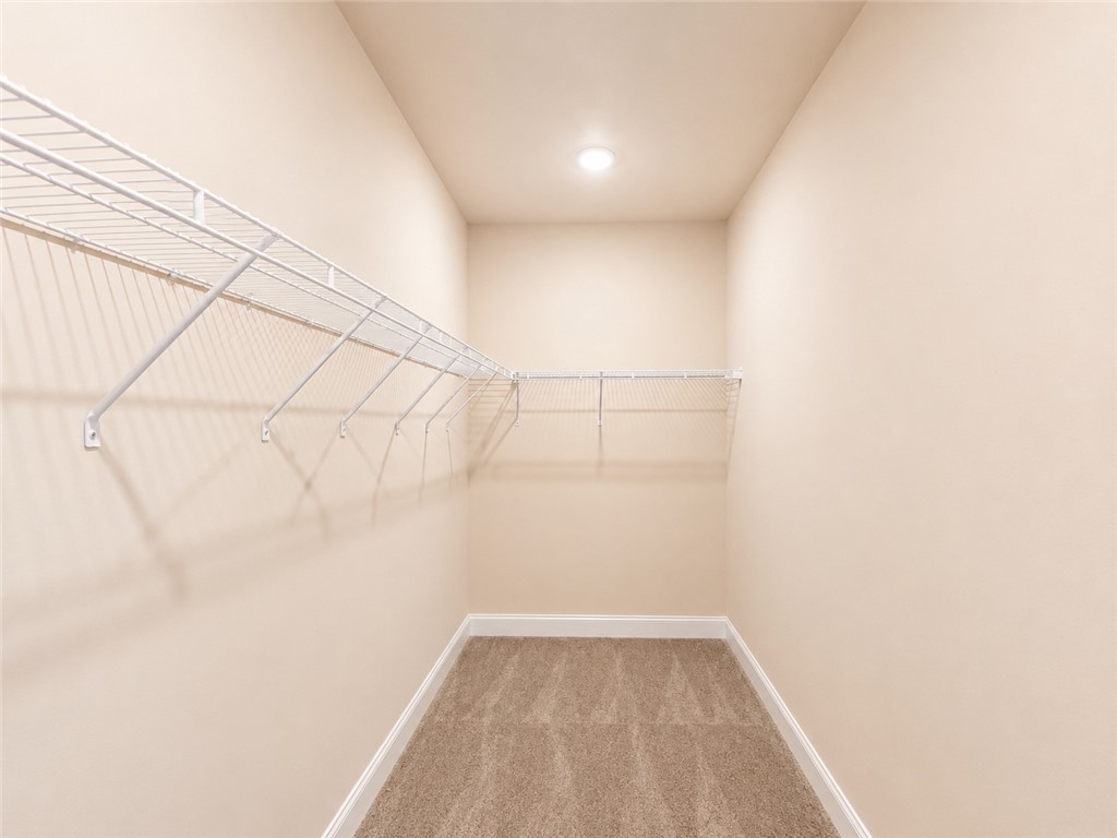 328 Point Road Westminster, SC 29693 - Photo 12 of 24 Functional shelving and plush carpeting create a practical and well-appointed closet space.