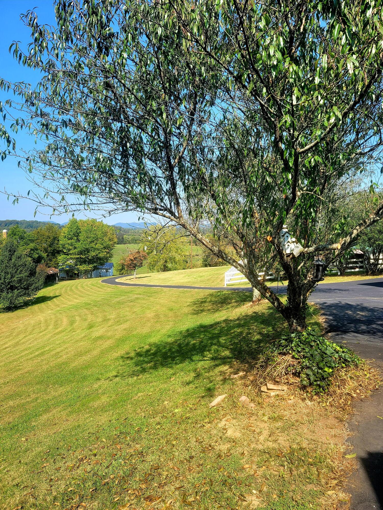 815 Christian Bend Road Church Hill, TN 37642 - Photo 8 of 23 20210929_113338