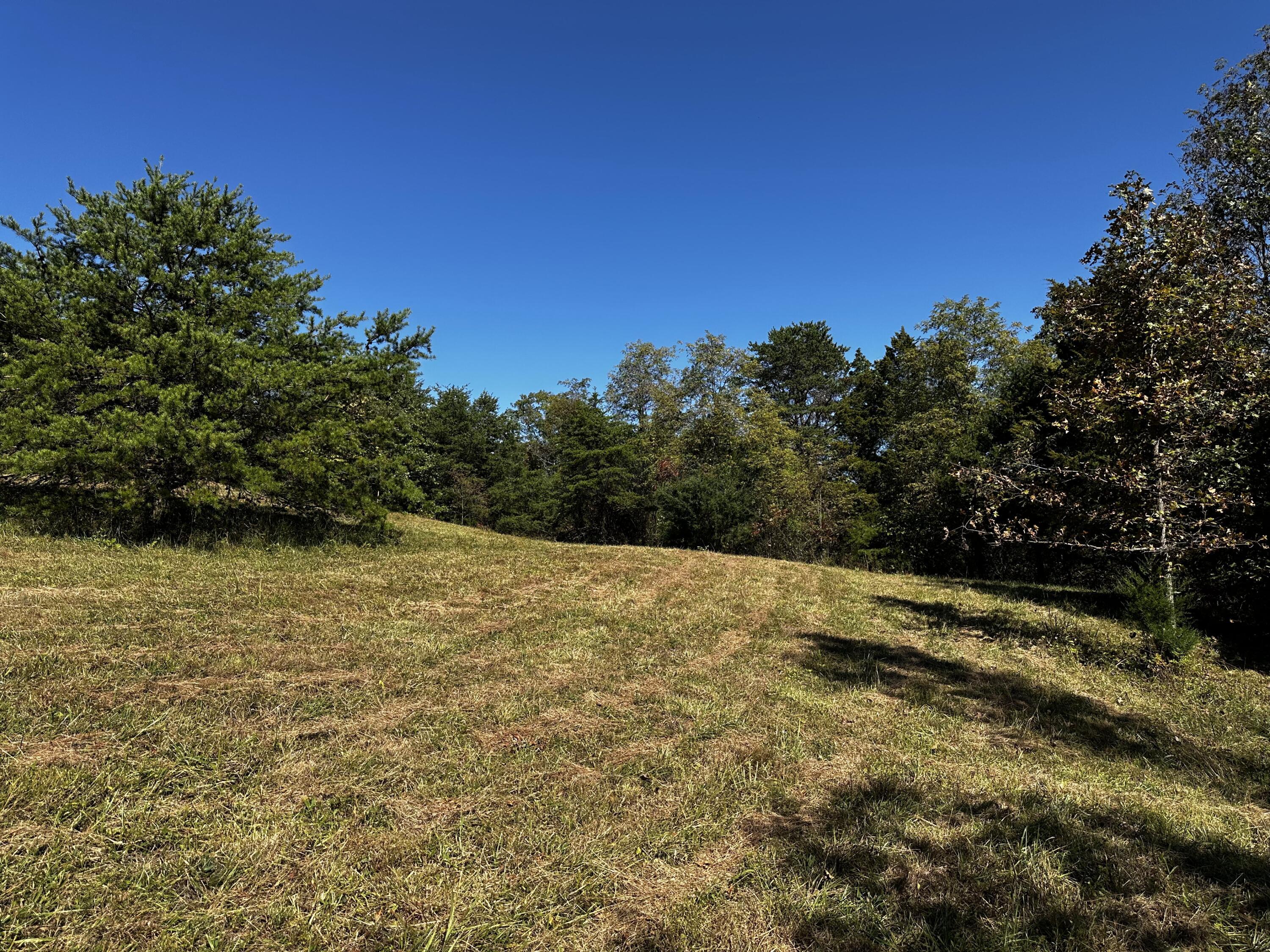 865 Hull Road, Unit TRACT 13 WOODS WAYNE FOREST) Patriot, OH 45658 - Photo 52 of 57 20241008_180640833_iOS