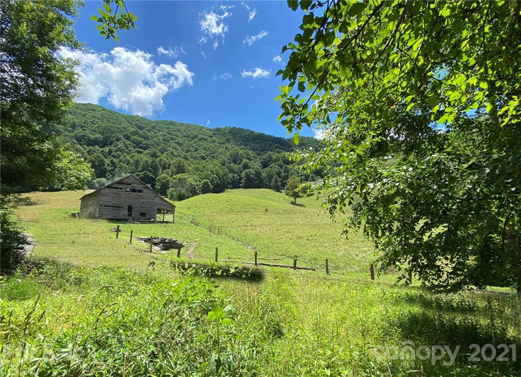 2101 Baltimore Branch Road Hot Springs, NC 28743 - Photo 3 of 30 Gallery Image 3