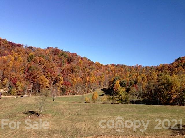 2101 Baltimore Branch Road Hot Springs, NC 28743 - Photo 22 of 30 Gallery Image 22