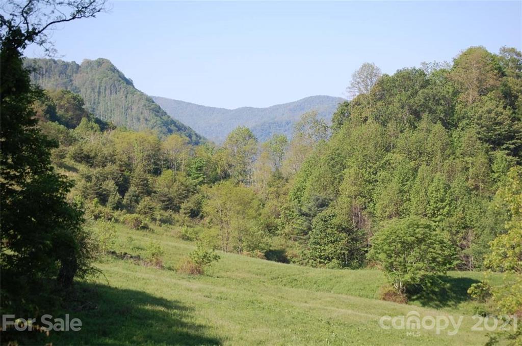 2101 Baltimore Branch Road Hot Springs, NC 28743 - Photo 8 of 30 Gallery Image 8