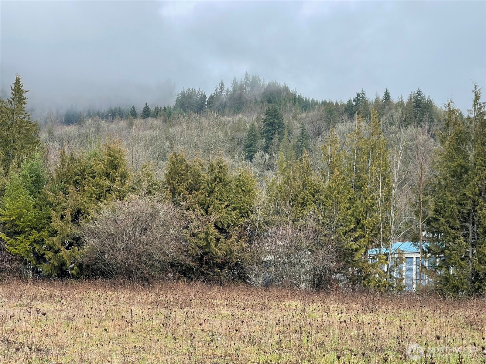 45075 Cedar Street Concrete, WA 98237 - Photo 16 of 18