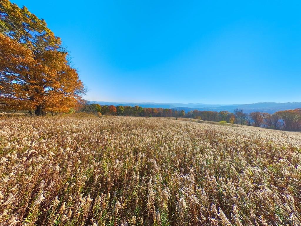 Rolling Hills Road Johnstown, PA 15905 - Photo 3 of 12 Gallery Image 3