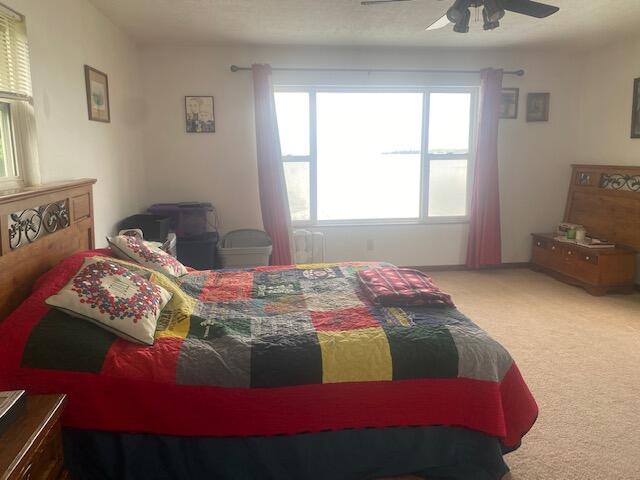 8500 Gutchess Road Alpena, MI 49707 - Photo 16 of 26 Gallery Image 16