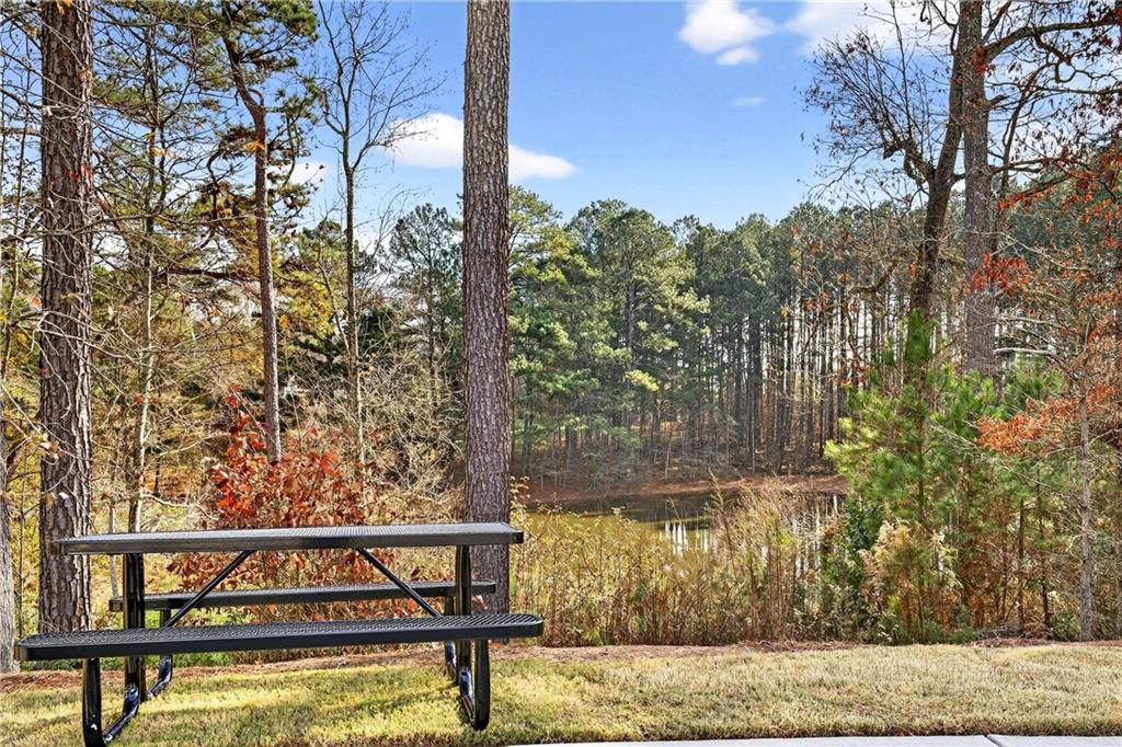 3980 Lochmar Trail Cumming, GA 30040 - Photo 44 of 48