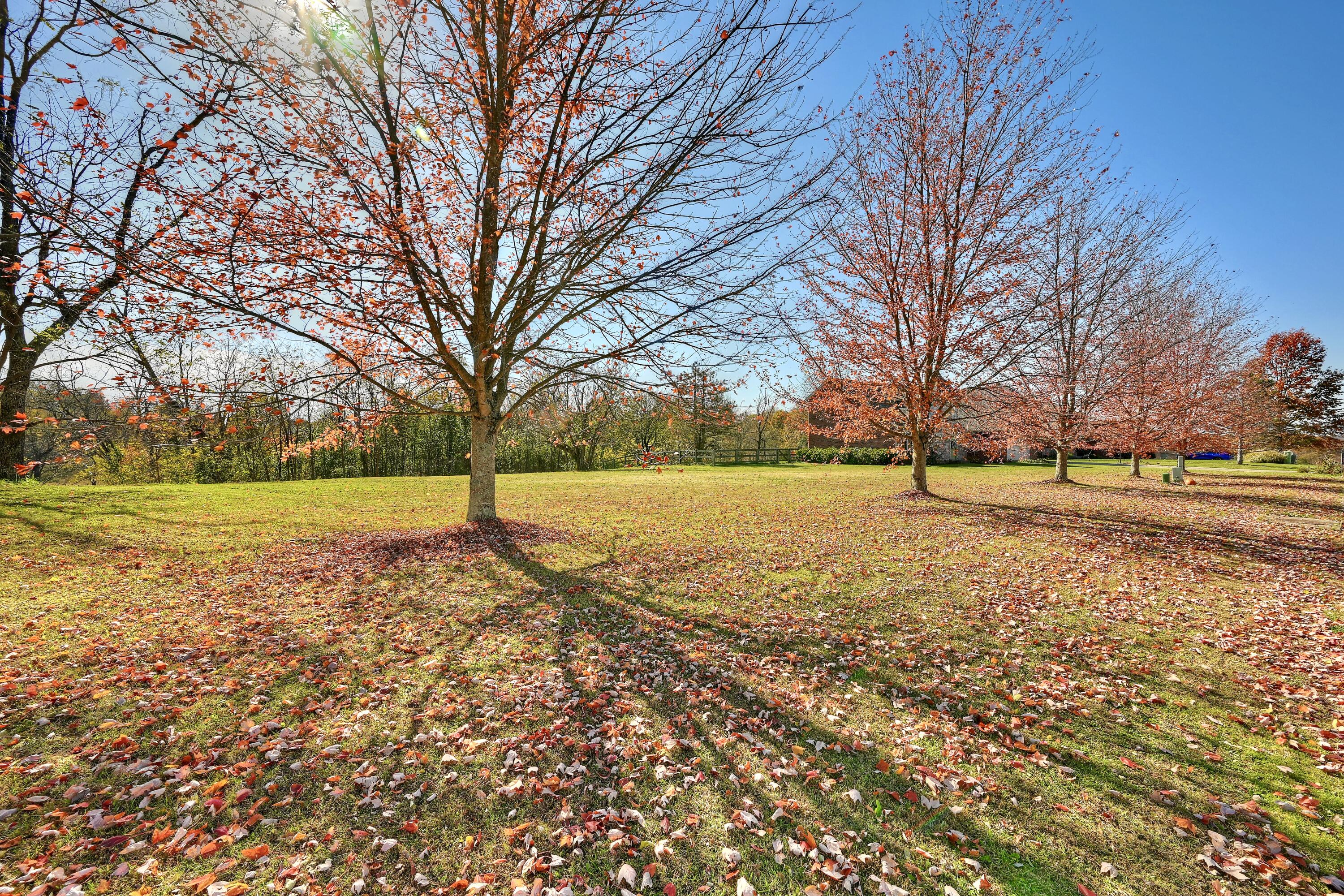 112 Beverly Lane Dry Ridge, KY 41035 - Photo 9 of 50 Gallery Image 9