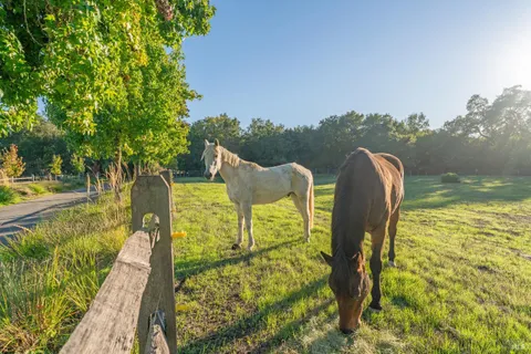 $3,895,000 | 1603 Balverne Lane, Windsor, CA 95492