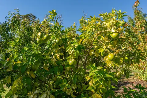 $3,895,000 | 1603 Balverne Lane, Windsor, CA 95492