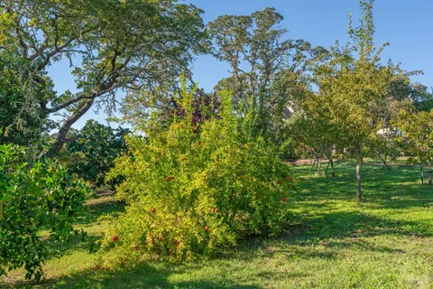 $3,895,000 | 1603 Balverne Lane, Windsor, CA 95492