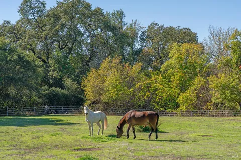 $3,895,000 | 1603 Balverne Lane, Windsor, CA 95492