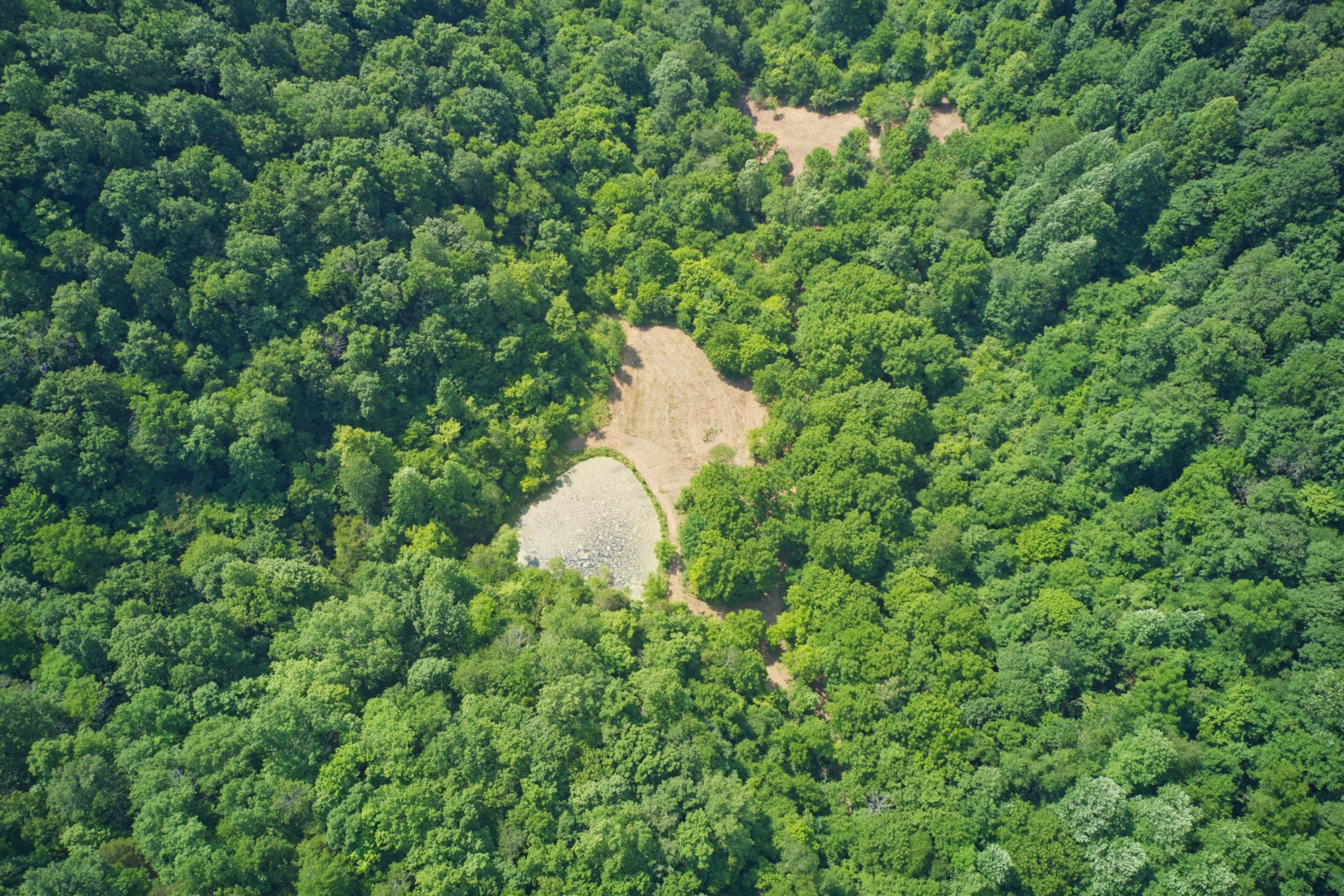 0 Sycamore Valley Road Pleasant Shade, TN 37145 - Photo 1 of 1 a view of a house in a forest