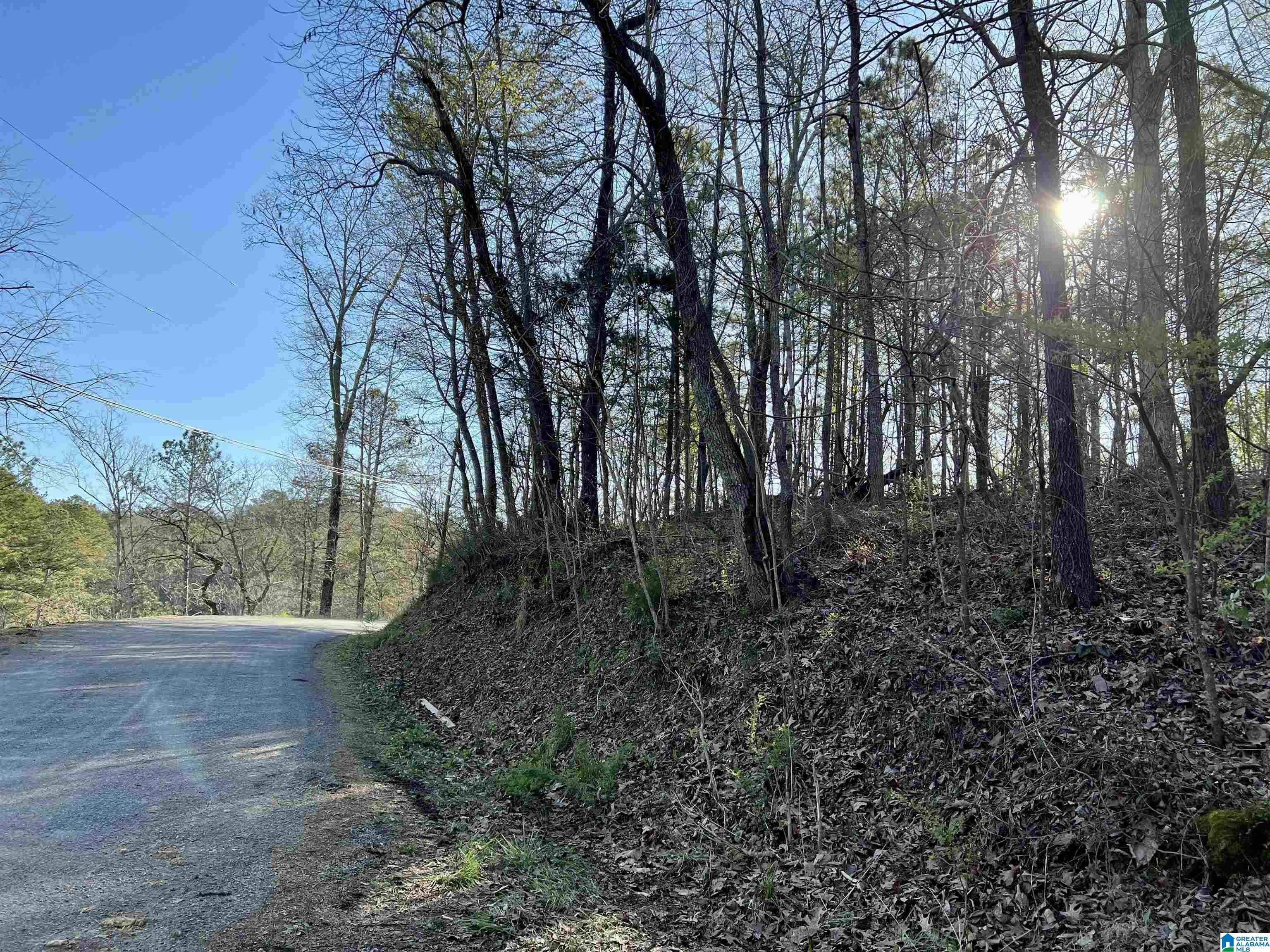 0 Lakeshore Lane, Unit 3 Oneonta, AL 35121 - Photo 14 of 21