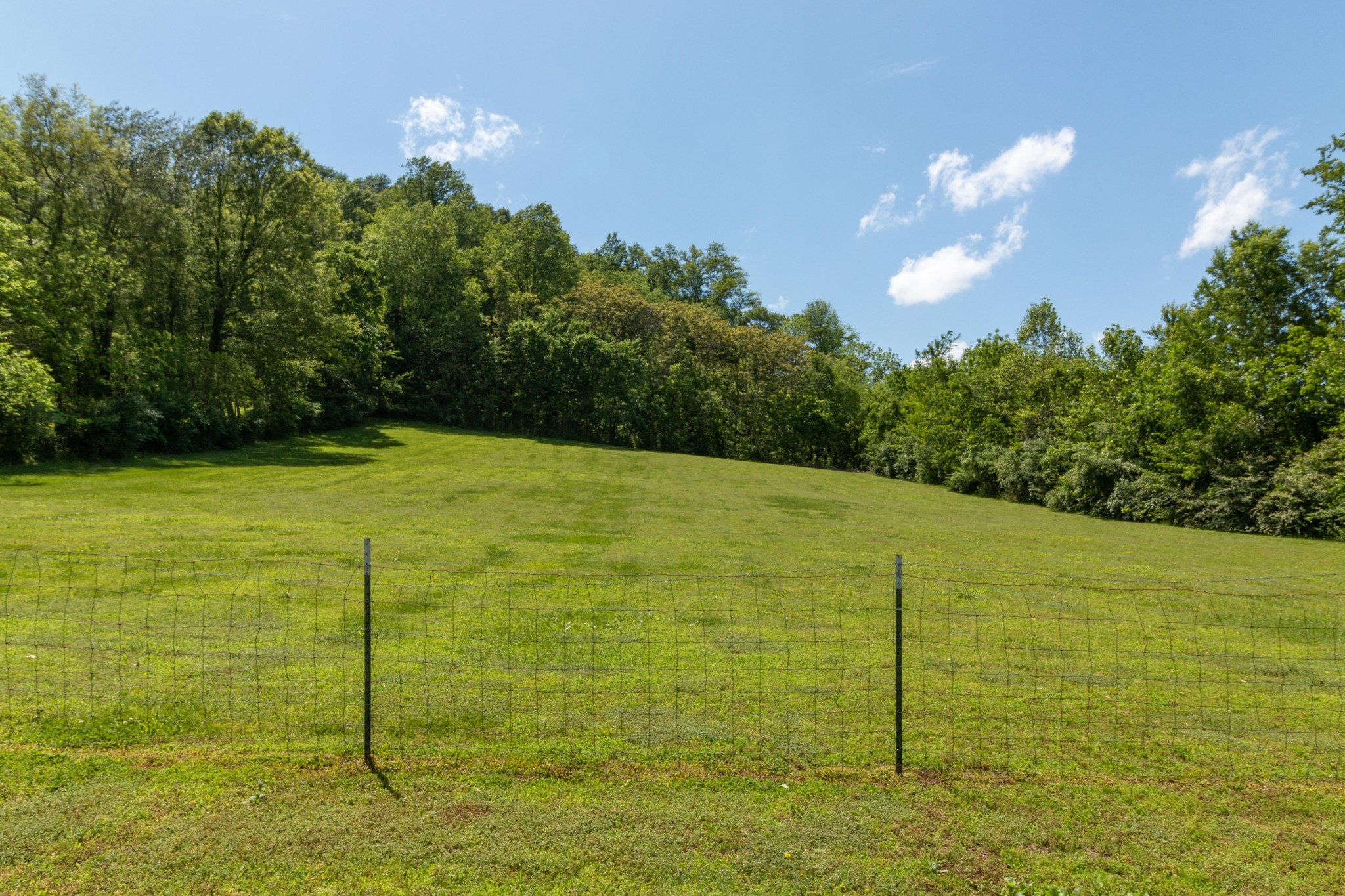 8781 Joy Road Mount Pleasant, TN 38474 - Photo 35 of 39 Gallery Image 35