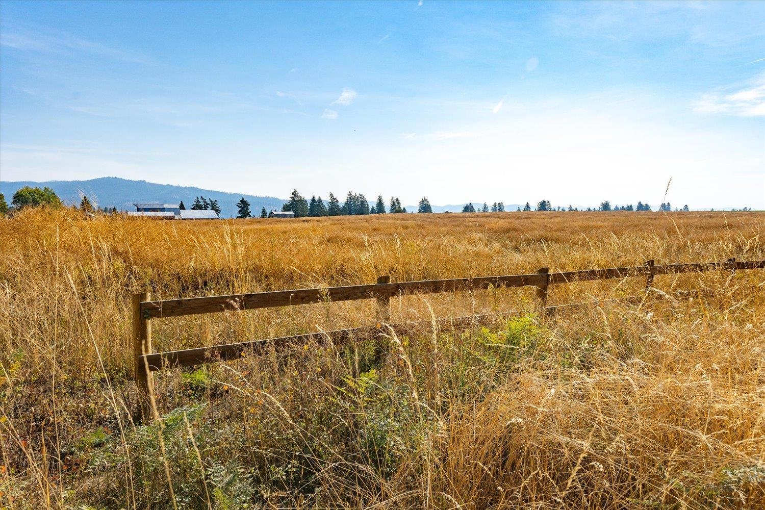 X08 North Orchard Bluff Road Chattaroy, WA 99003 - Photo 1 of 10 Gallery Image 1