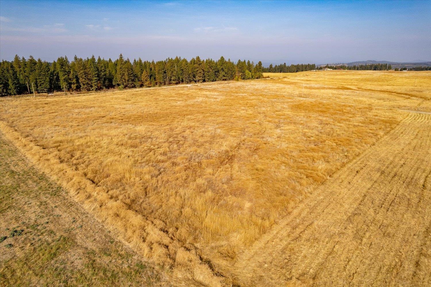 X08 North Orchard Bluff Road Chattaroy, WA 99003 - Photo 2 of 10 Gallery Image 2