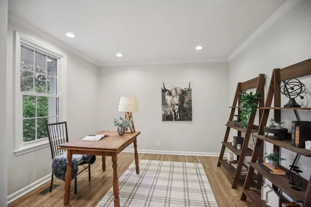 a view of a workspace with furniture and a potted plant