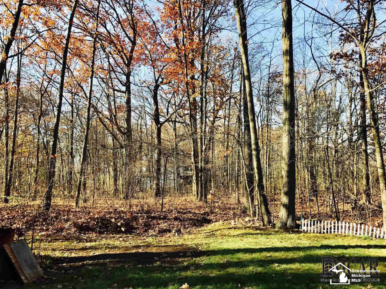 1222 South Raisinville Road Monroe, MI 48161 - Photo 16 of 19 Yard