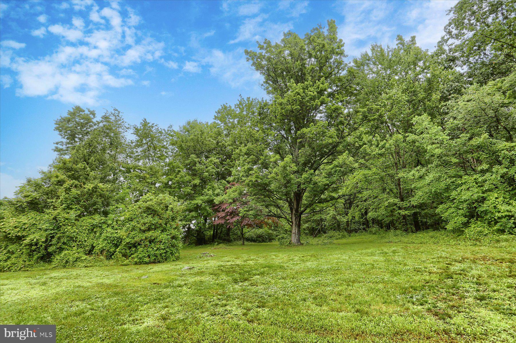835 Germany Ridge Road Elliottsburg, PA 17024 - Photo 26 of 29 Gallery Image 26