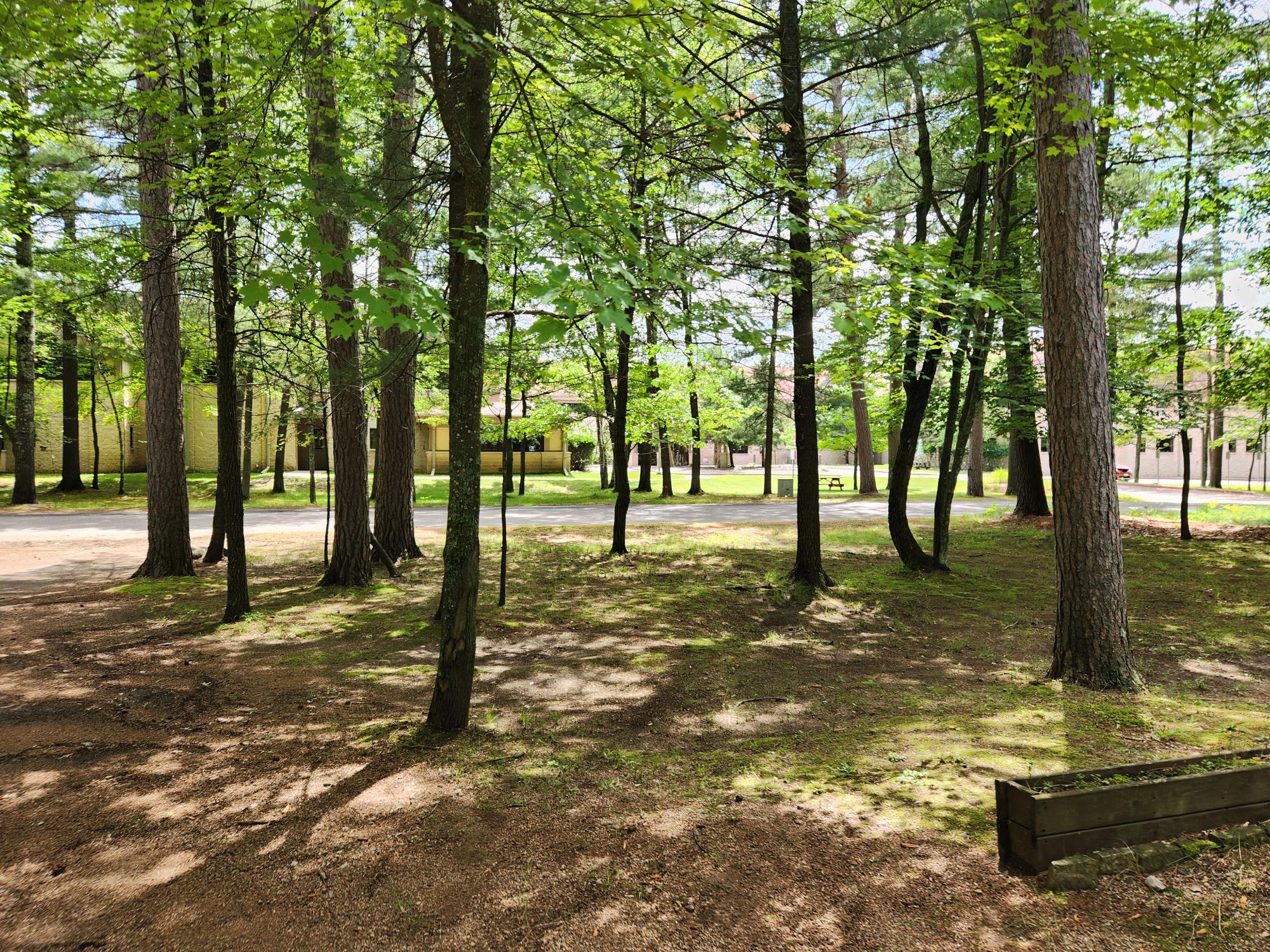 206 Townline Road Woodruff, WI 54568 - Photo 19 of 21 Gallery Image 19