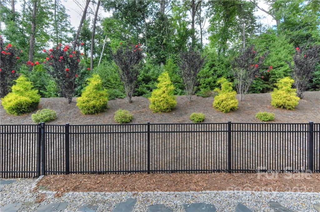 754 Coralbell Way Tega Cay, SC 29708 - Photo 39 of 43 Gallery Image 39