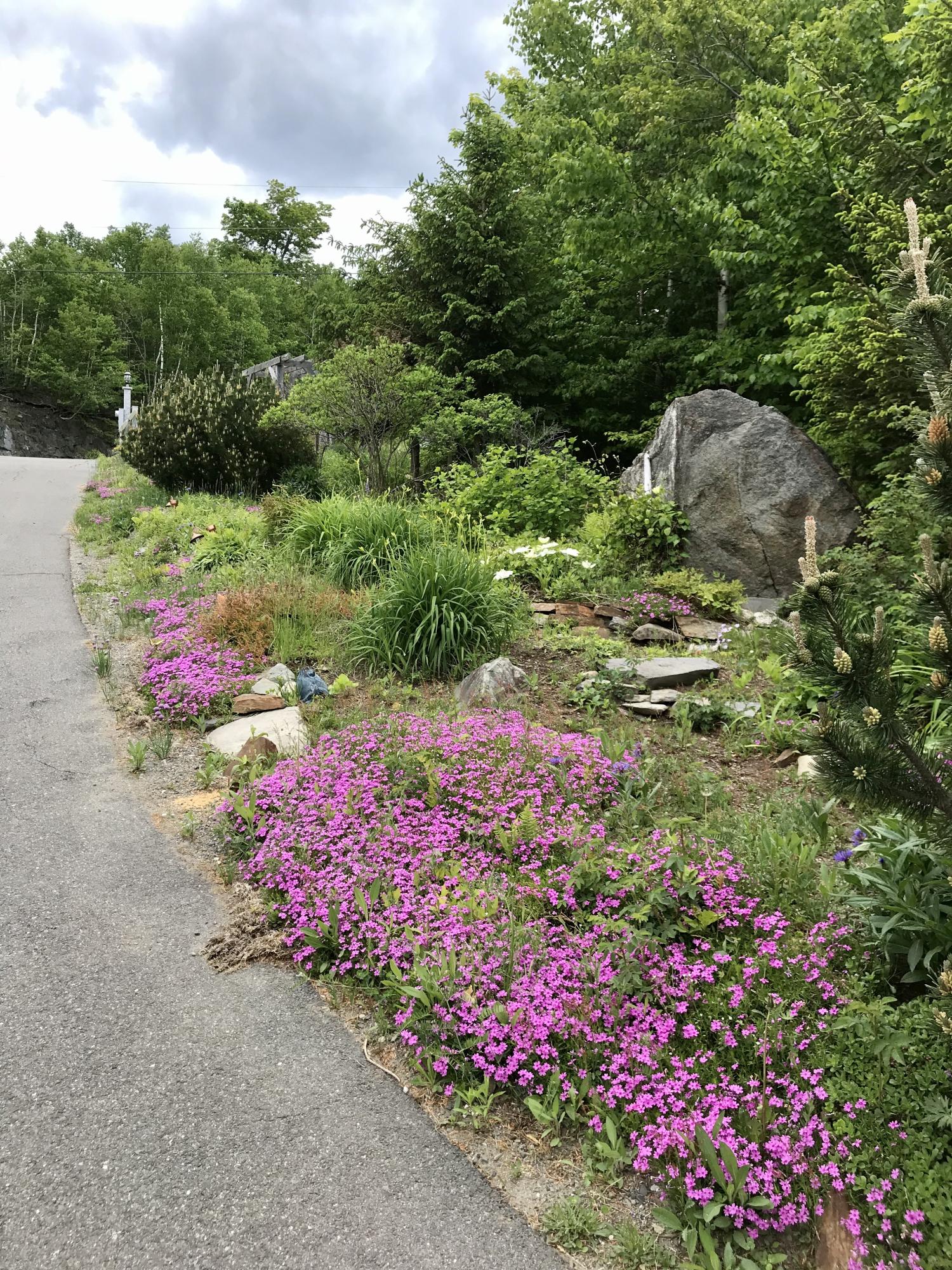 51 Moosehead Isle Road Greenville, ME 04441 - Photo 10 of 44 2AD6448E-B987-4B63-91E2-C6C3EFF36E72