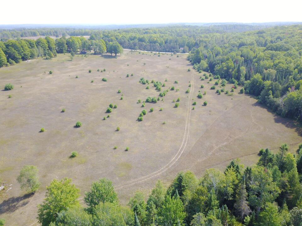 0 Brady Road Onaway, MI 49765 - Photo 15 of 28 Gallery Image 15