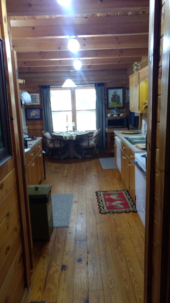 135 Mountain Springs Road Warm Springs, GA 31830 - Photo 11 of 18 Gallery Image 11