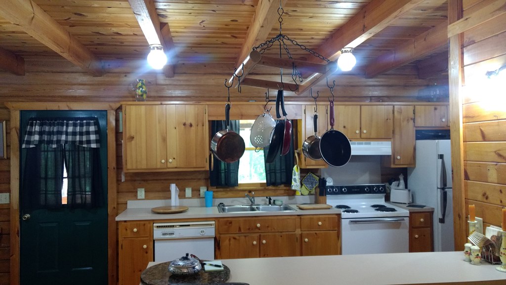 135 Mountain Springs Road Warm Springs, GA 31830 - Photo 14 of 18 Gallery Image 14