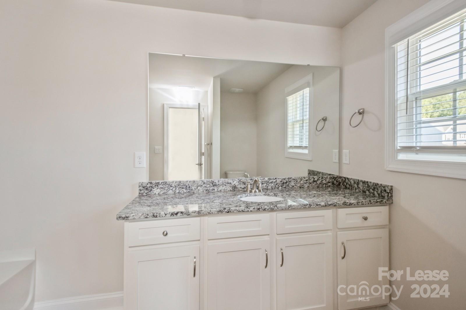 211 Adams Tree Way Troutman, NC 28166 - Photo 15 of 32 a bathroom with a granite countertop sink and a mirror