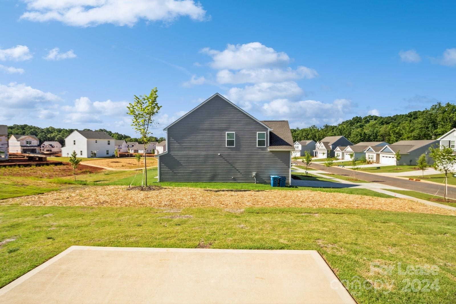 211 Adams Tree Way Troutman, NC 28166 - Photo 29 of 32
