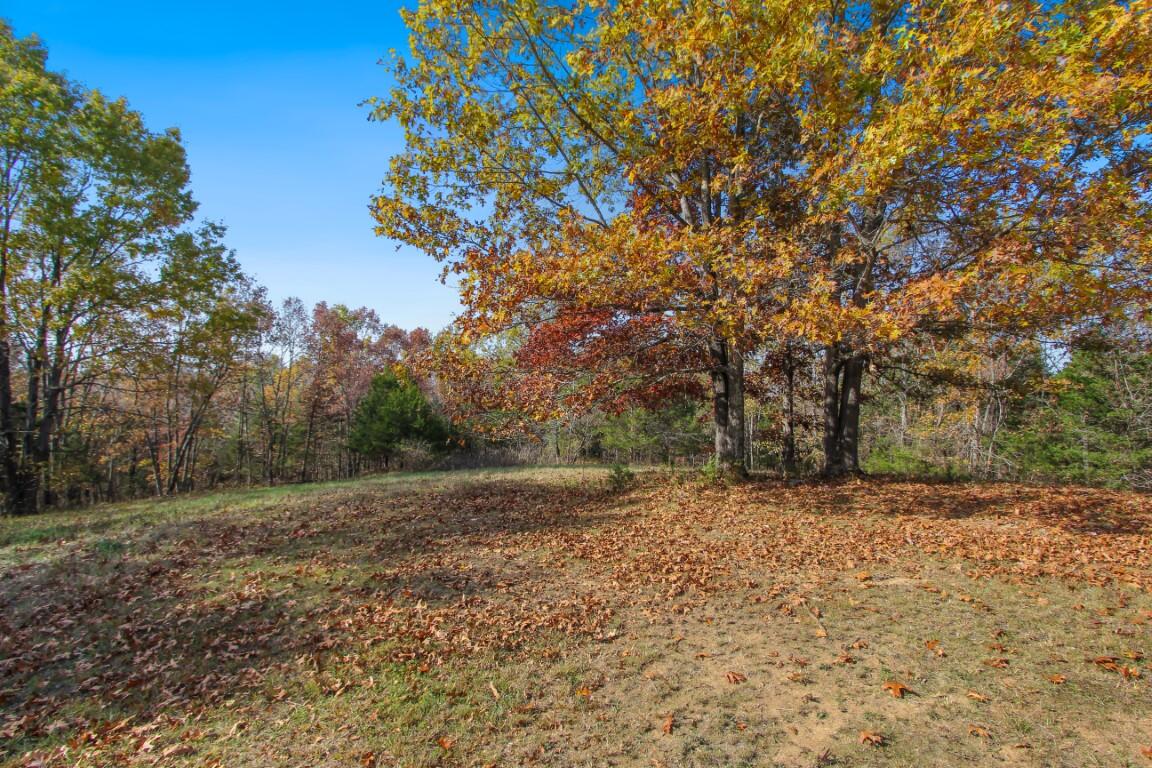 1444 Fairview Road Lawrenceburg, KY 40342 - Photo 31 of 34 Land--2 (Medium)