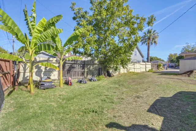 a view of road with large trees
