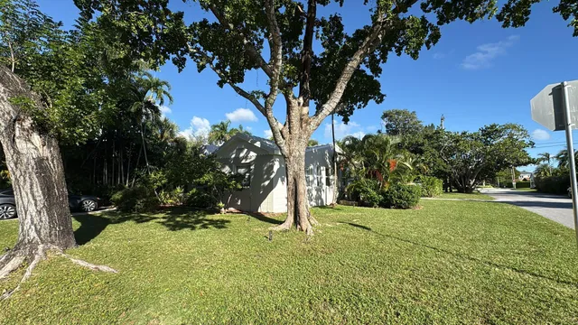 a view of backyard with tree