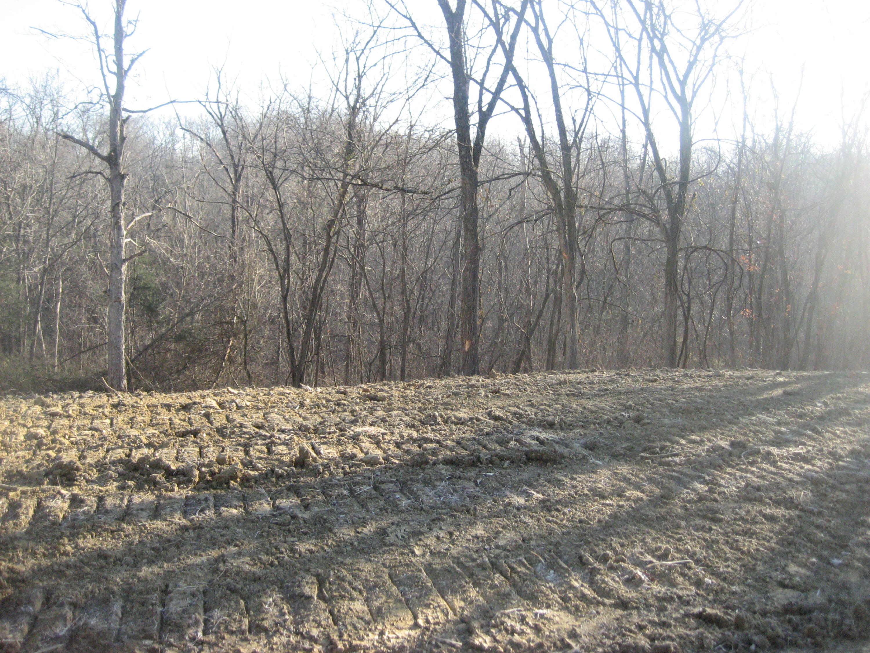 373 Union Ridge Road Frankfort, KY 40601 - Photo 7 of 19 IMG_1319