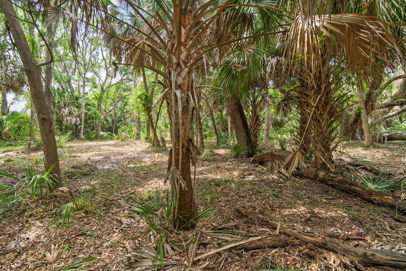 3322 Myrtle Street Edisto Island, SC 29438 - Photo 9 of 26