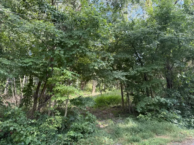 $15,000 | 0 Elwood Drive, Clarksville, TN 37040