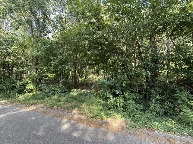 $15,000 | 0 Elwood Drive, Clarksville, TN 37040