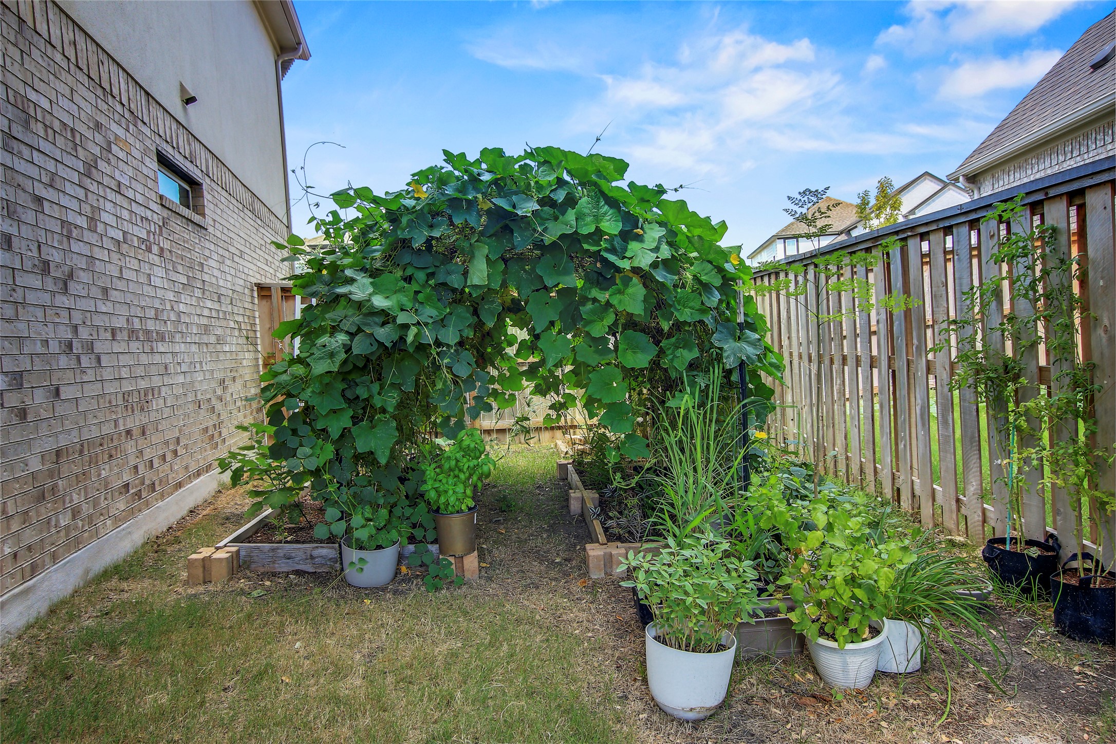104 Millbend Road Georgetown, TX 78633 - Photo 37 of 40 Cultivate your culinary dreams in this charming backyard garden, featuring a lush green archway.
