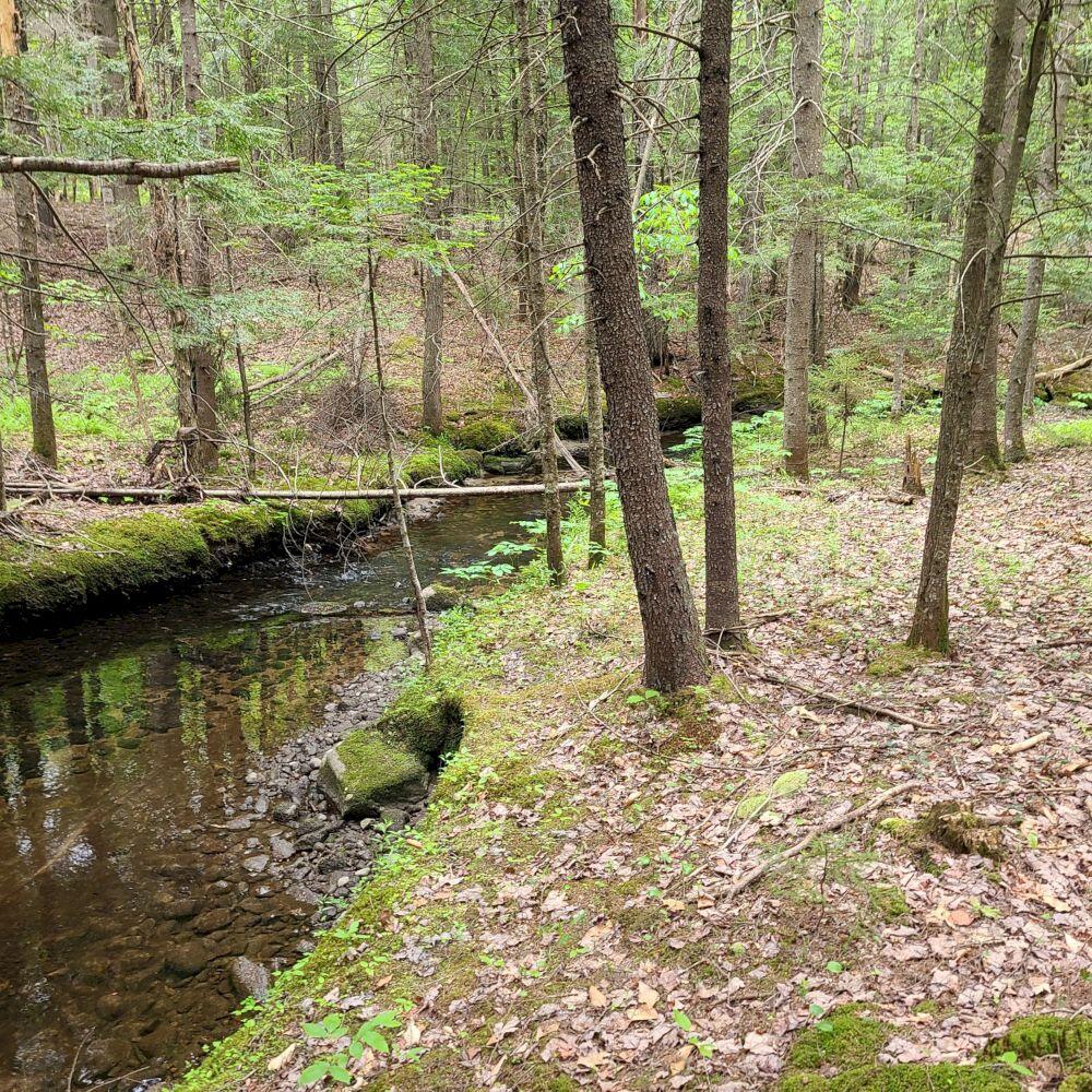 32 Sicotte Road Peru, ME 04290 - Photo 46 of 58 20220601_140201
