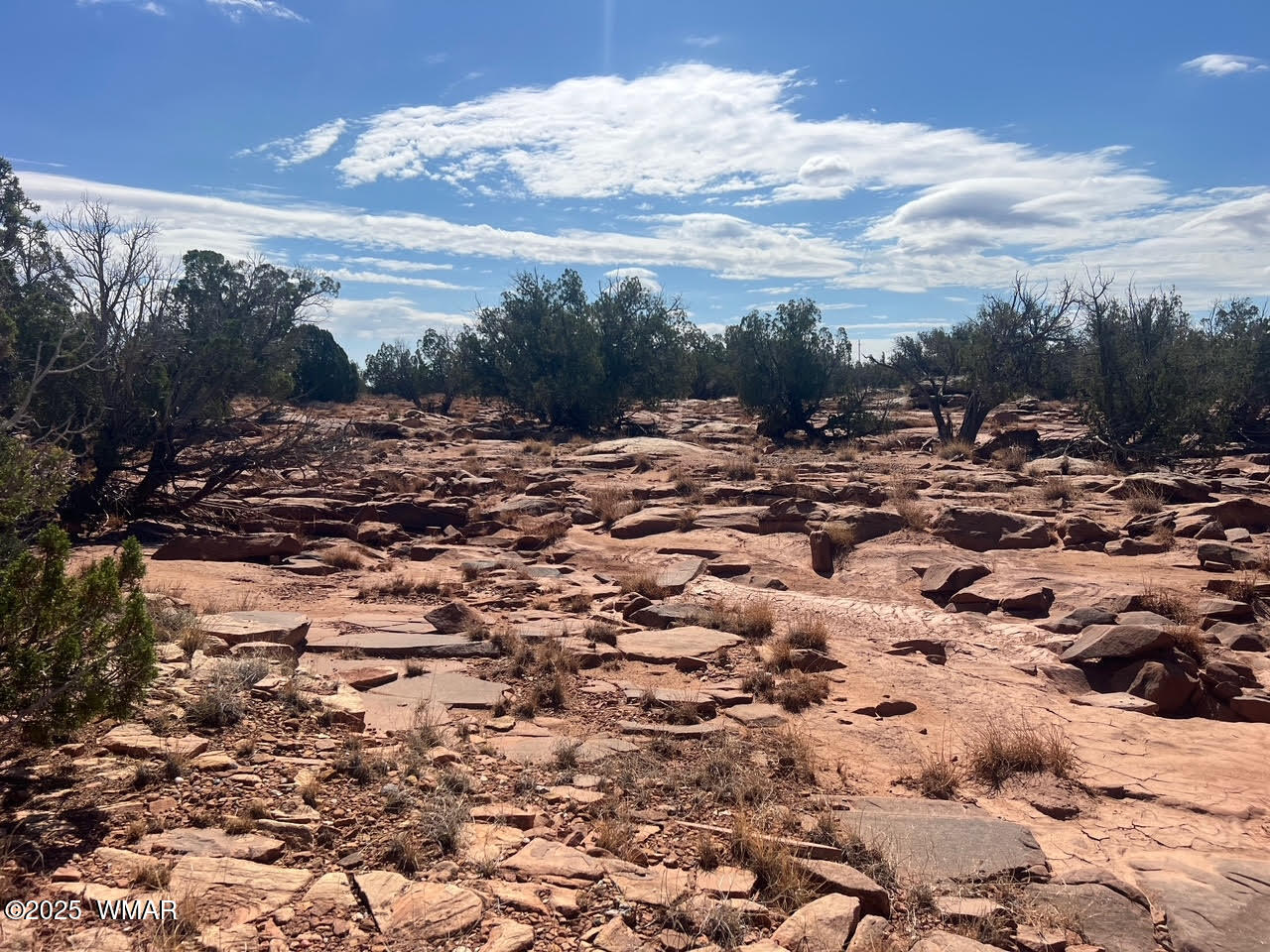 0 Old Woodruff Road Snowflake, AZ 85937 - Photo 3 of 11 Pic 1