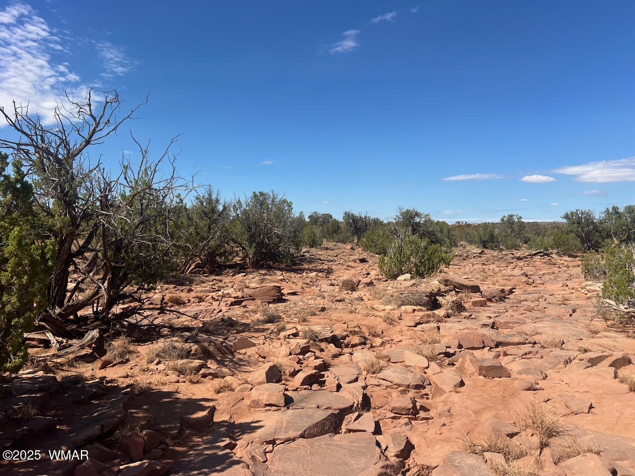 0 Old Woodruff Road Snowflake, AZ 85937 - Photo 4 of 11 Pic 3