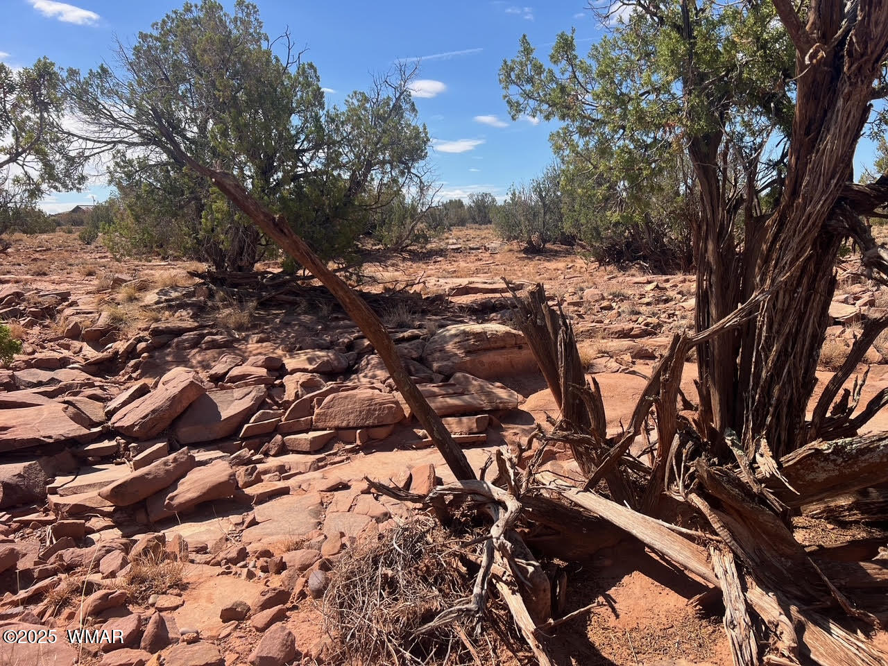 0 Old Woodruff Road Snowflake, AZ 85937 - Photo 5 of 11 Pic 4