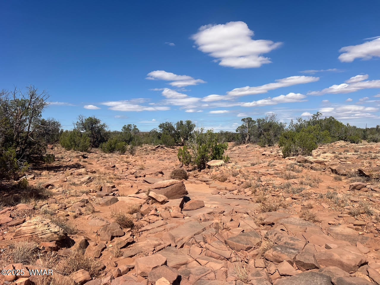 0 Old Woodruff Road Snowflake, AZ 85937 - Photo 6 of 11 Pic 5