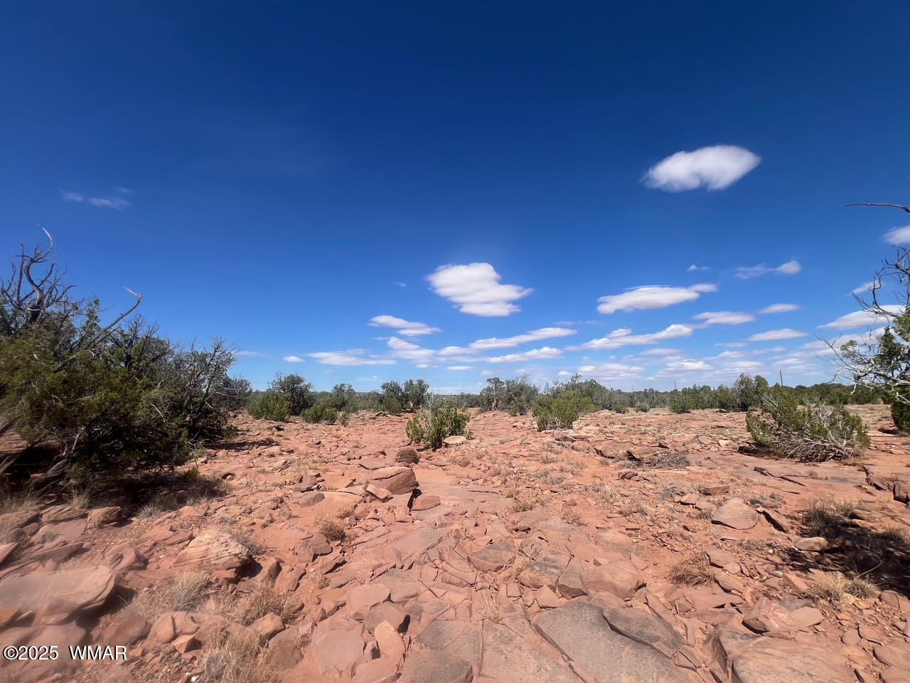 0 Old Woodruff Road Snowflake, AZ 85937 - Photo 7 of 11 Pic 6