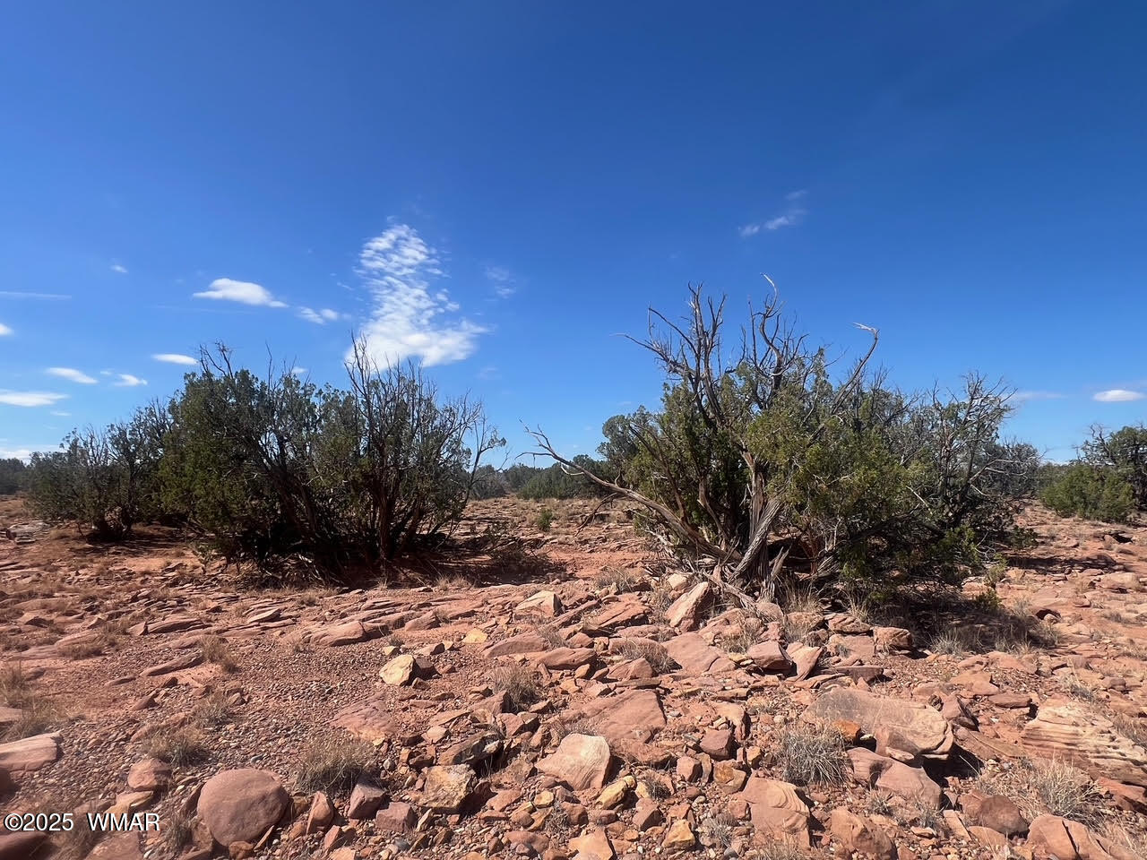 0 Old Woodruff Road Snowflake, AZ 85937 - Photo 8 of 11 Pic 7