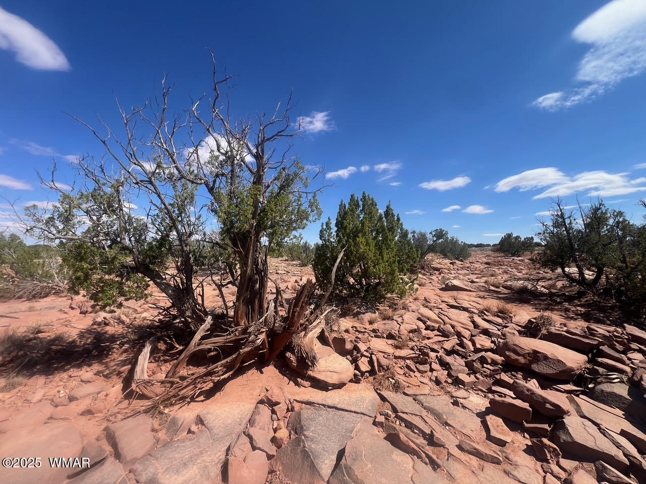 0 Old Woodruff Road Snowflake, AZ 85937 - Photo 9 of 11 Pic 8