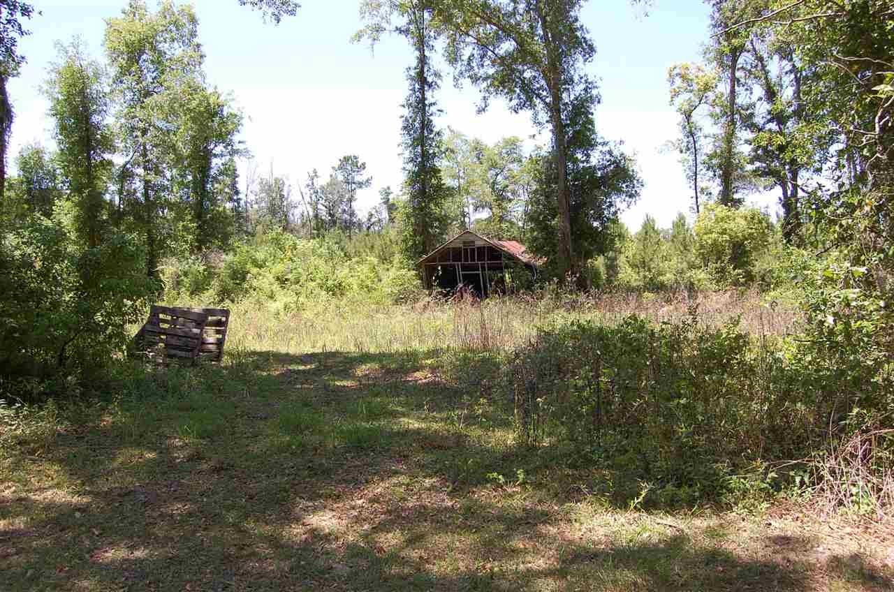977 Northeast Shrine Club Road Madison, FL 32340 - Photo 7 of 35 Gallery Image 7