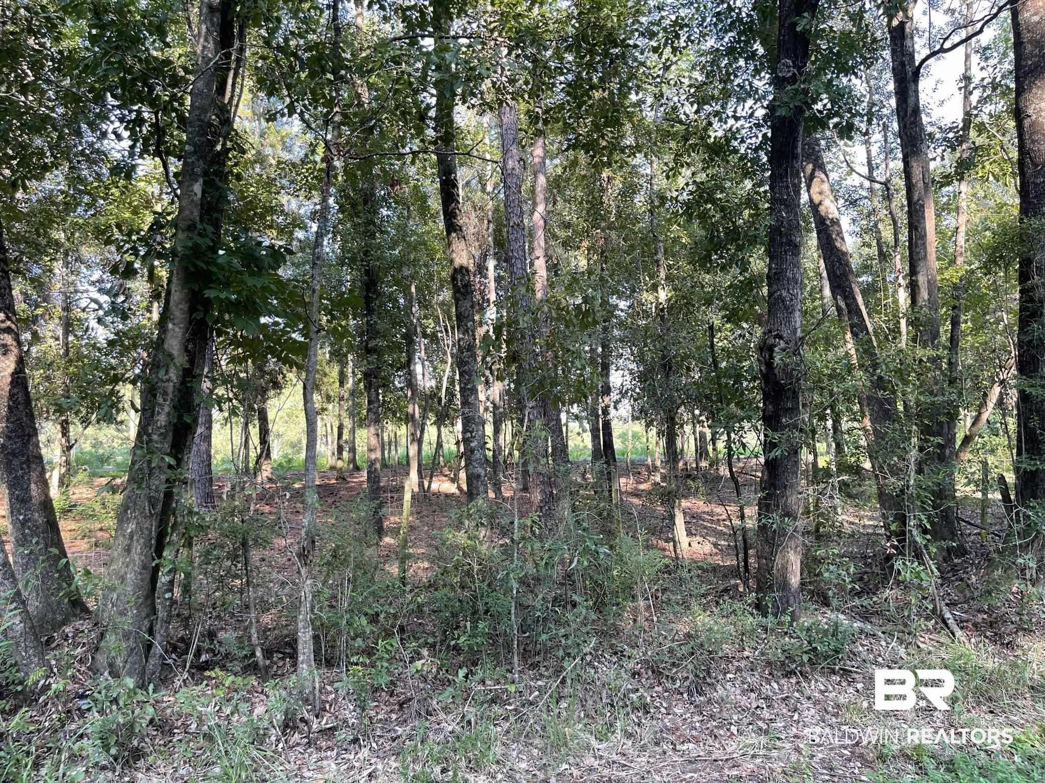 0 Rockhill Road Bay Minette, AL 36507 - Photo 30 of 32