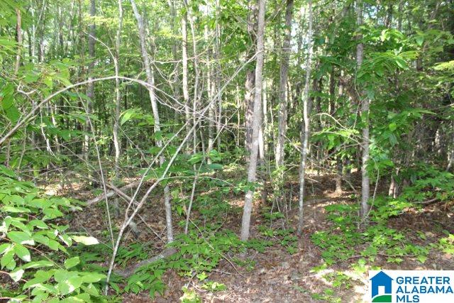 1 Benefield Gap Road Attalla, AL 35954 - Photo 26 of 50